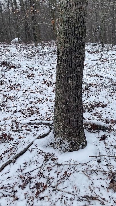 Brian Ghilliotti: Possible Lithic Circle in Essex, CT: More probable alignments