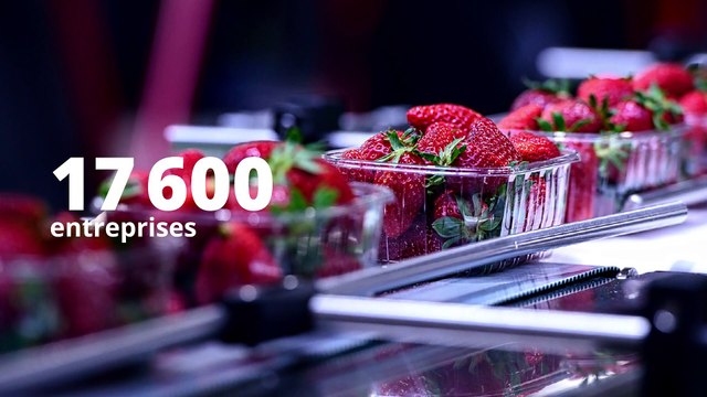 Actions et politiques du ministère de l'Agriculture et de l'Alimentation