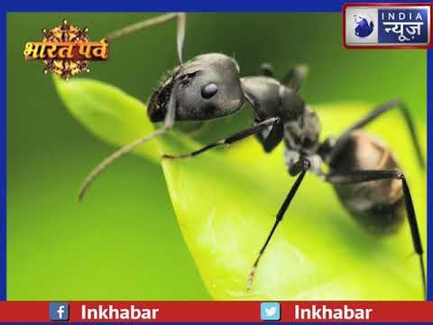 अच्छा समय आने के पहले मिलते हैं ये शुभ संकेत, घर में दिखने वाले शुभ और अशुभ लक्षण