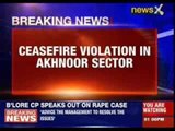 Pakistan army violates ceasefire, one jawan killed