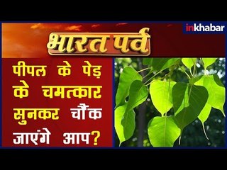 जानिए पीपल के पेड़ हो सकते हैं क्या-क्या चमत्कार