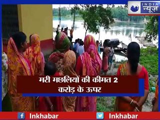 बांग्लादेश से बहकर आये कीटनाशकों को खाने से कोलकाता में हज़ारों मछलियां मरी