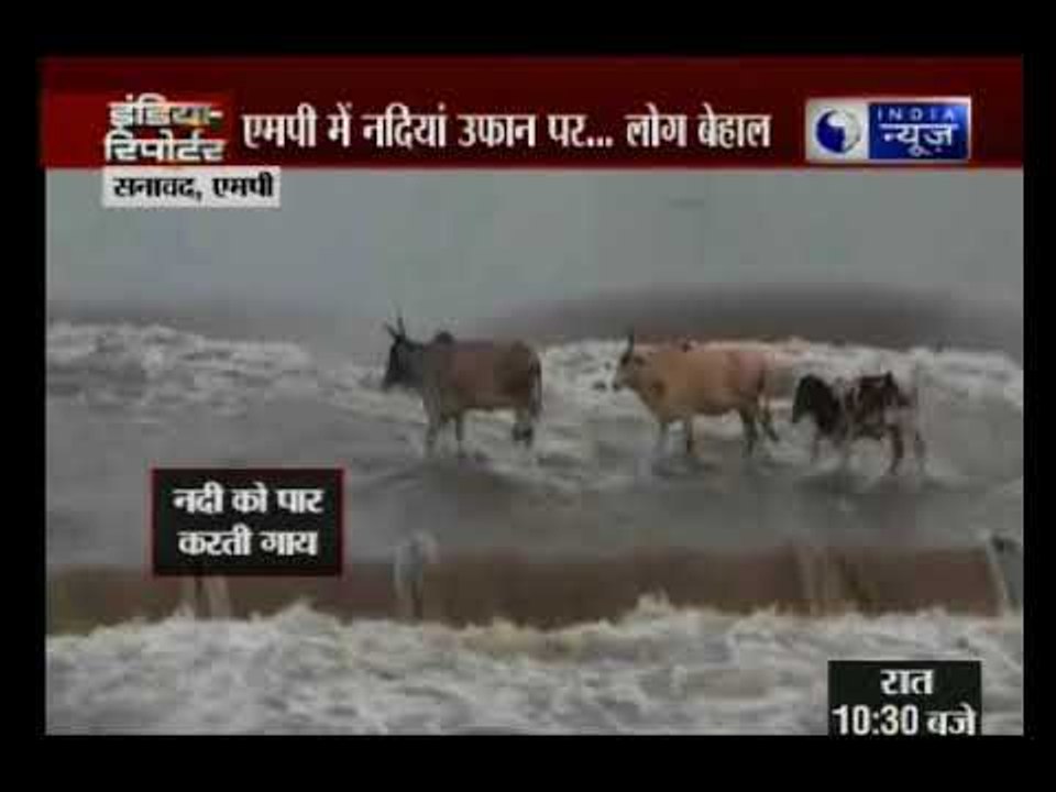 मध्य-प्रदेश में उफान पर नदियां, इंसान तो इंसान...