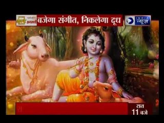 जन्माष्टमी special: बजेगा संगीत, निकलेगा दूध, गिटार सुनकर दूध देने वाली गाय का सच