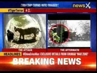 Boy killed by white tiger after he fell in enclosure