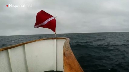 Quería ver unas ballenas, pero solo terminó empapado por las olas