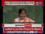 Sushma Swaraj Speaks at UN, say, 