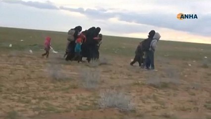 Сдача боевиков ИГ в Сирии
