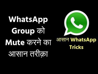 WhatsApp Tricks: WhatsApp Group को Mute करने का आसान तरीक़ा; How to Mute WhatsApp Group Update