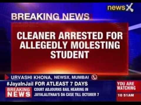 Cleaner molests girl in reputed Juhu school
