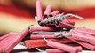 Firecrackers allowed- Is it livelihood or path to death? | पटाखा चलेगा- आजीविका या मौत का जरिया !