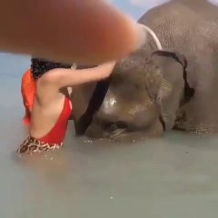 Queria tirar uma foto para o Instagram em cima de um elefante... mas o animal não a estava para aturar!