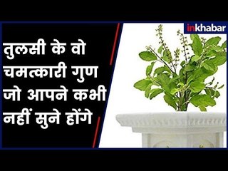 पुरुषों में शारीरिक कमजोरी और यौन-दुर्बलता होने पर तुलसी के बीज का करें इस्तेमाल- Benefits of Tulsi