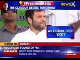 Rahul Gandhi likely to be elevated as Congress’s Working President