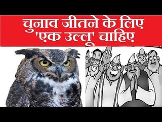 उल्लुओं (Owls) की बढ़ी मांग, कर्नाटक से नेता मंगा रहे उल्लू - Telangana Assembly Election 2018