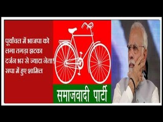 पूर्वांचल में BJP को झटका, अब अपना दल के हाथ में हो सकती है सत्ता की चाबी!- Lok Sabha election 2019