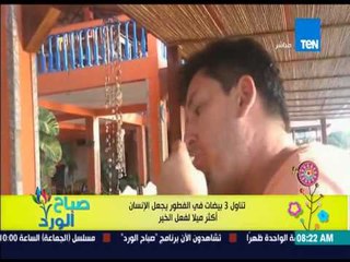 صباح الورد - دراسة تكشف إذا اردت طلب زياة مرتبك من المدير عليك بإطعامه وجبة فطار تحتوي على "البيض"