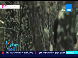 صباح الورد - الفنانة صبا مبارك تمارس رياضة kickboxing بعد مشاركتها فى الفيلم السويدى هاملتون