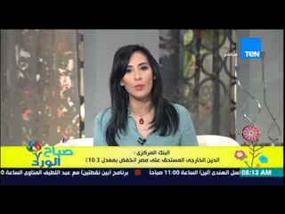 صباح الورد - البنك المركزى : الدين الخارجى المستحق على مصر إنخفض بمعدل 10.3%