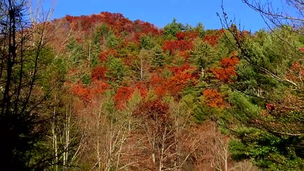 Enota Mountain Retreat Georgia Public TV Special on Georgia Traveler