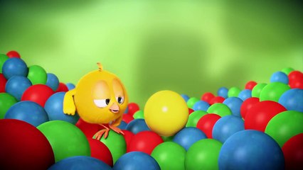 Where is Chicky? Funny Chicky #3 | Chicky Dessin Animé 2018