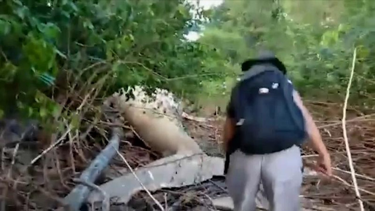 Неделя без комментариев: историческое рукопожатие, мертвый кит и жёны игиловцев