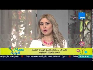 صباح الورد - الكهرباء : بدء تجارب تشغيل الواحدات المتنقلة بالصعيد بقدرة 25 ميجاوات