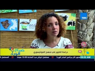 صباح الورد - فقرة مونتيسوي مع مروة رخا - دراسة الطيور فى منهج المونتيسوري