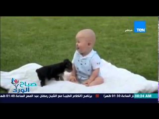 صباح الورد - نرمين شريف تعترض على فيديو لكلب يلاعب طفل رضيع ويقع على الأرض