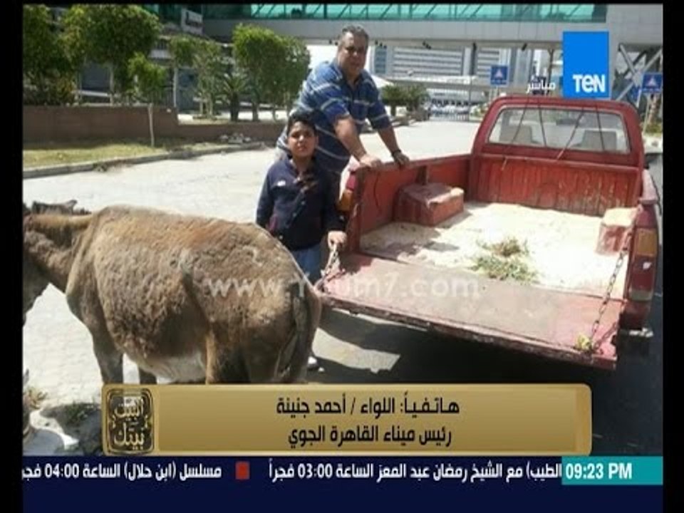البيت بيتك اللواء احمد جنينة الحمار كان م صاب وتم شفاؤه شئ خطير الحمار كان ممكن يكون ملغم فيديو Dailymotion