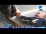 برنامج صباح الورد - فيديو لكلب يٌلاعب طفل بطريقة مرعبة ورد فعل الطفل هو الضحك الهستيري