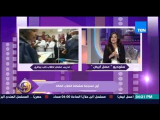 عسل أبيض - رئيس جمعية أصدقاء الحيوان وأول مشهد لتخدير القطة وعملية التعقيم بدل تسمم الحيوانات