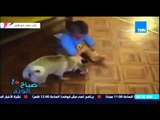 صباح الورد - فيديو لكلب يلعب مع طفل ويسحبه على الأرض والطفل فى حالة من هستيرية الضحك
