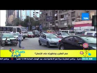 صباح الورد - فقرة صحح معلوماتك - معلومة تكتشفها لأول مرة عن حقيقة سم العقرب وخطورته على الإنسان