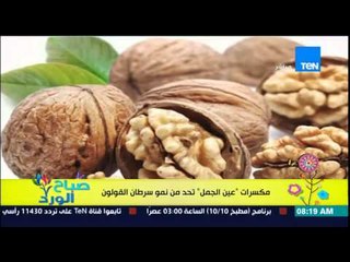 صباح الورد - دراسة حديثة تكشف أن تناول مكسرات "عين الجمل" يحد من نمو سرطان القولون