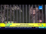 صباح الورد - الفقرة السياحية - حديقة الحيوان بالجيزة أكبر حديقة للحيوانات فى مصر والشرق الأوسط