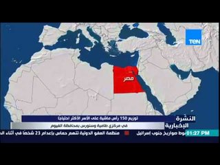النشرة الإخبارية - توزيع 150 رأس ماشية على الأسر الأكثر إحتياجاً بمحافظة الفيوم