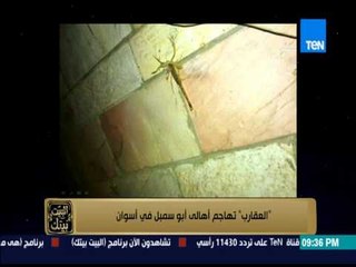 البيت بيتك - " العقارب " تهاجم أهالي أبو سمبل في أسوان وأحد الأهالي يموت بعد فرحه بيوم