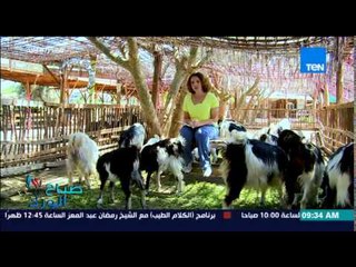 صباح الورد - فقرة مونتيسوري مع مروة رخا .. يوم تثقيفي عن الفرق بين الحافريات