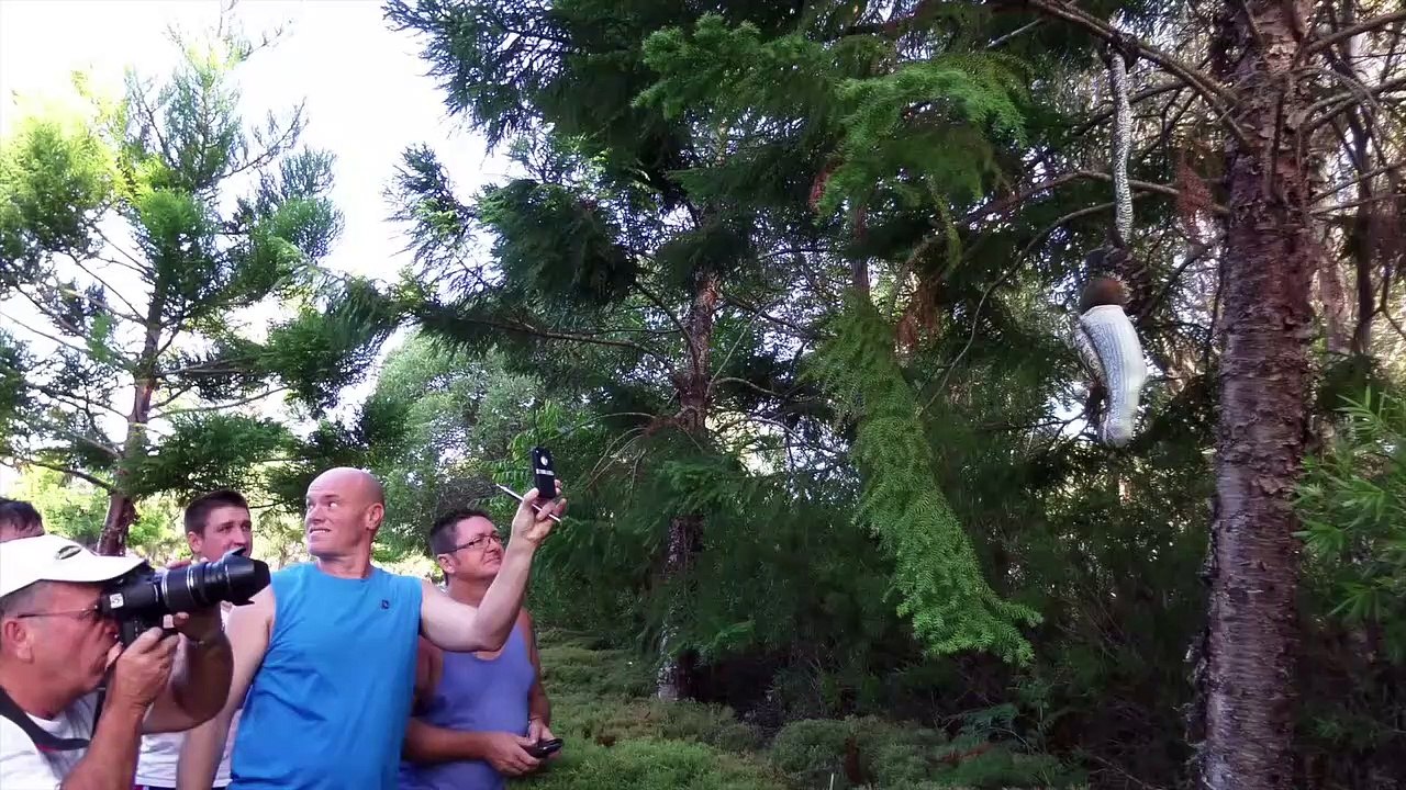 Un énorme python dévore un opossum sous les yeux de touristes médusés