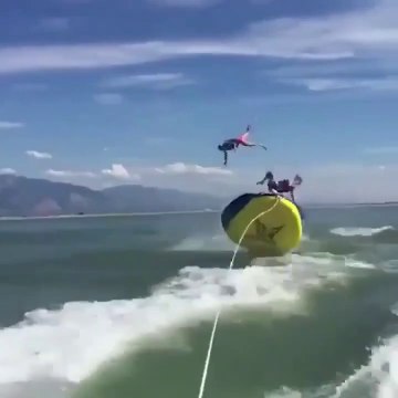 Un petit tour en bouée qui fini très mal pour ces demoiselles