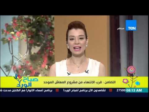 صباح الورد - وزارة التضامن تعلن عن قرب الإنتهاء من قانون المعاش الموحد ليتم عرضه للحوار المجتمعى
