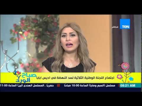 صباح الورد - إجتماع اللجنة الوطنية الثلاثية لسد النهضة فى أديس أبابا لتبادل وجهات النظر