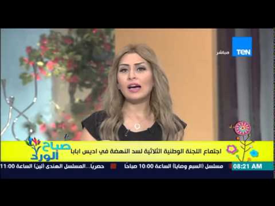 صباح الورد - إجتماع اللجنة الوطنية الثلاثية لسد النهضة فى أديس أبابا لتبادل وجهات النظر