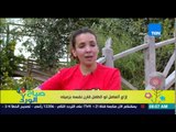 صباح الورد - مونتيسروي مصر مع مرة رخا - إزاى أتعامل لو الطفل قارن نفسه بزميله