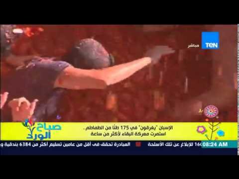 صباح الورد ـ مهرجان الطماطم الأسبان يغرقون فى 175 طناً من الطماطم إستمرت معركة البقاء لوقت طويل