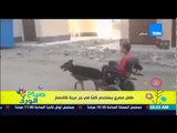 صباح الورد - فيديو لطفل مصري يستخدم كلباً فى جر عربة كالحمار وتعليق قوى من  مها بهنسي