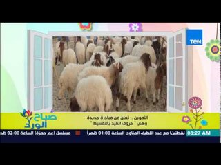 صباح الورد - وزارة التموين تعلن عن مبادرة جديدة وهي "خروف العيد بالتقسيط"