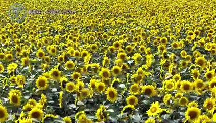 コズミック フロント☆NEXT▽酸素誕生に迫れ!南極 氷の下のタイムカプセル