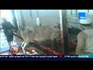 عسل أبيض | 3asal Abyad - عسل أبيض - فيديو لذبح "العجول" على أنغام الترامادول